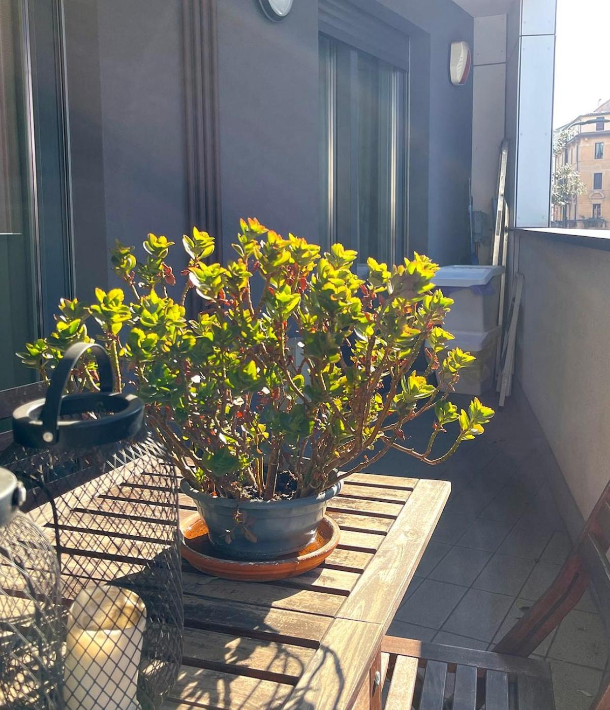Suite Porta Romana Milan Bagian luar foto